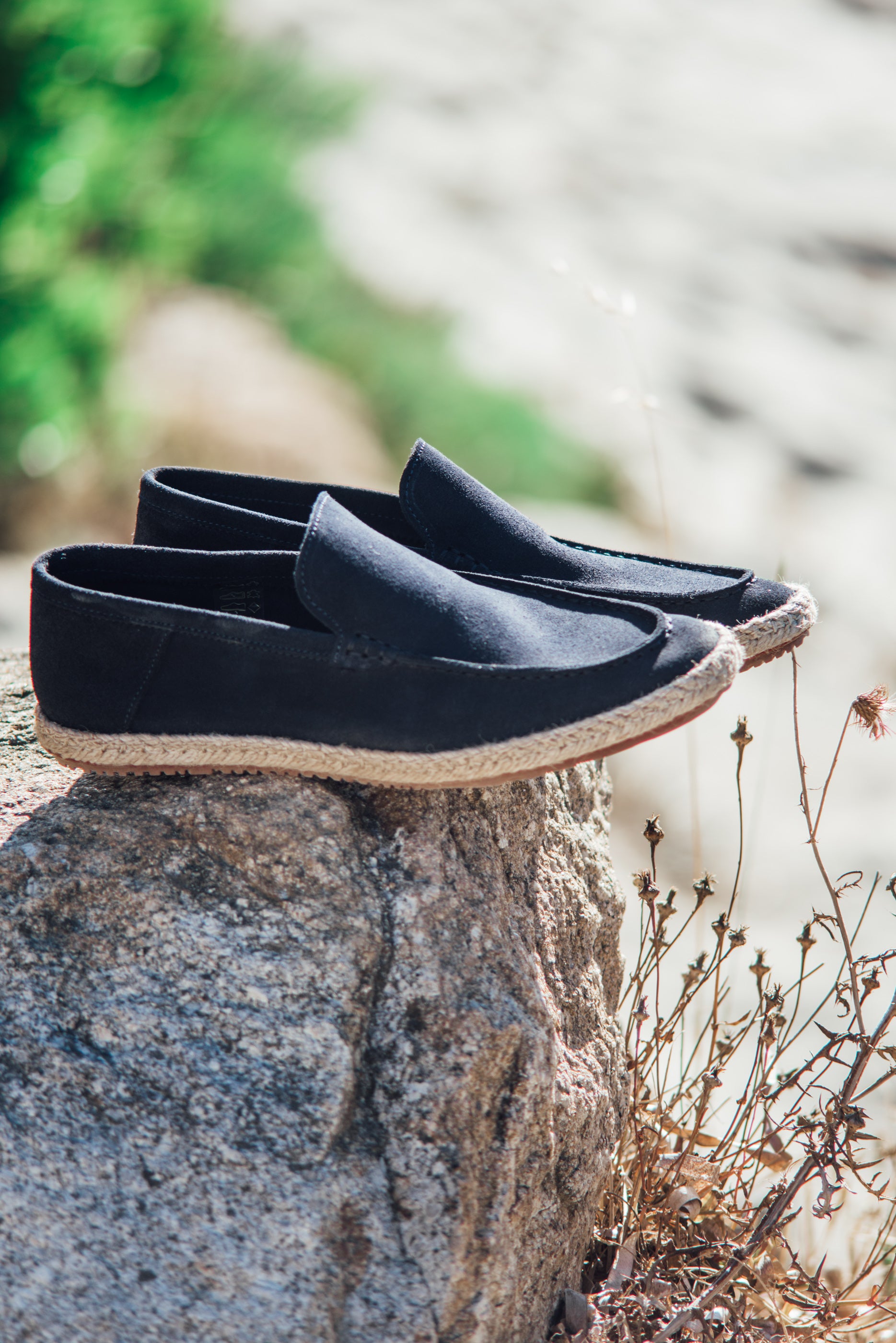 Pignes shoes - Navy