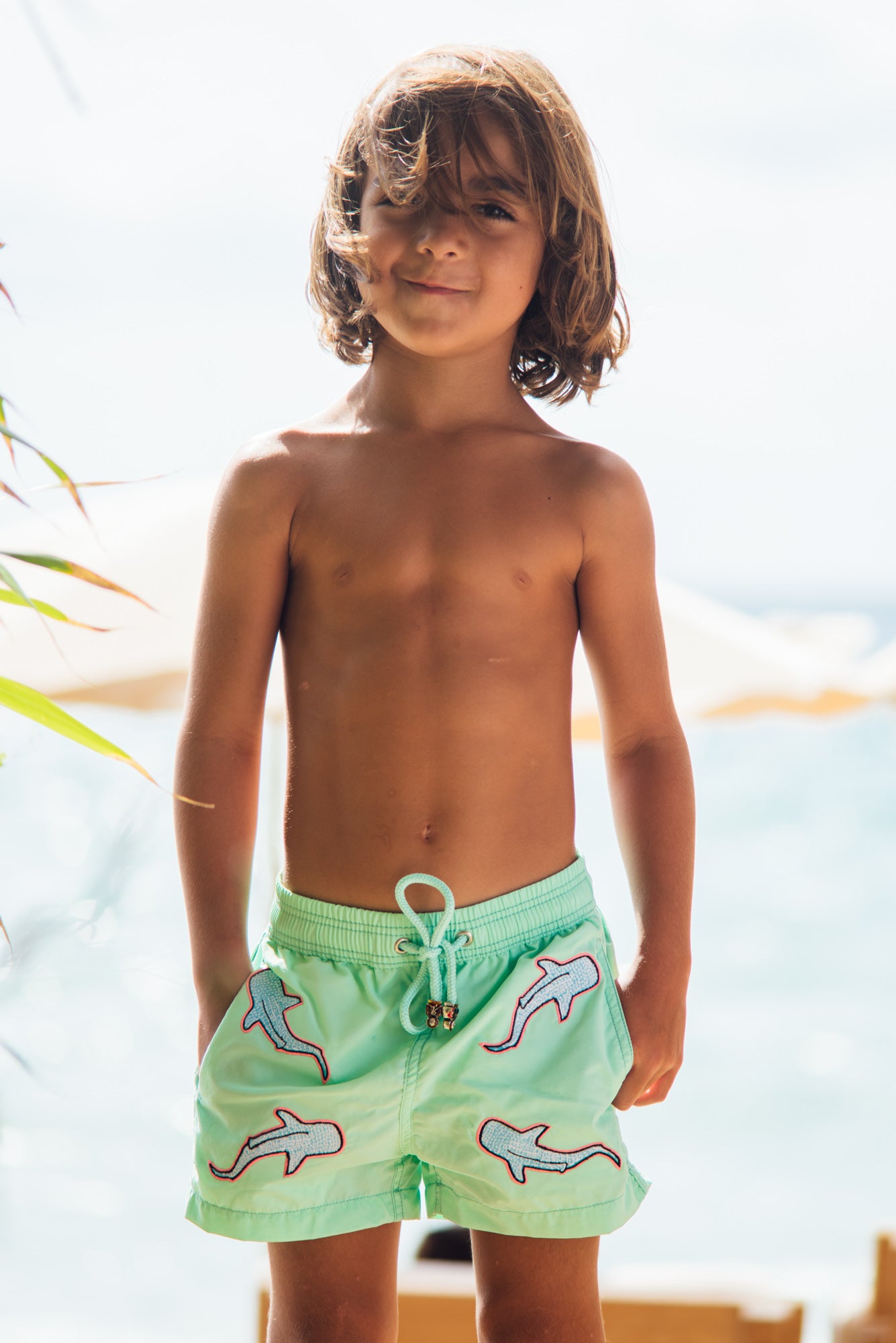 All Over Shark Kids - Green