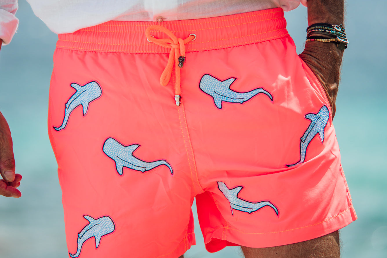 Maillot de bain pour Hommes – tagged "shark" – Les Canebiers